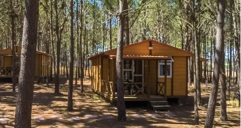 Bungalow Basic Couple