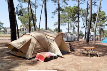 Stellplatz - Stellplatz - Wecamp Sao Miguel