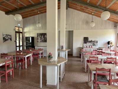 Wecamp Sao Miguel