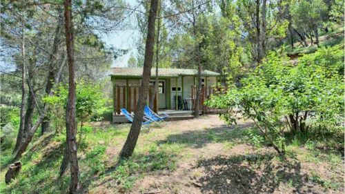 Location - Chalet Cottage 31M² / Spacieux, Calme, Dans La Pinède / 3 Chambres - image n°1 - Domaine de l'Ecluse