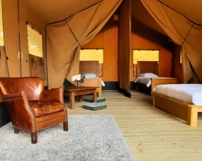 Lodge Safari Chrysalide - 35 M²