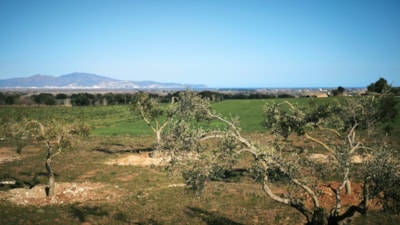 Plot without electricity in the heart of nature with magnificent panoramic views — 5