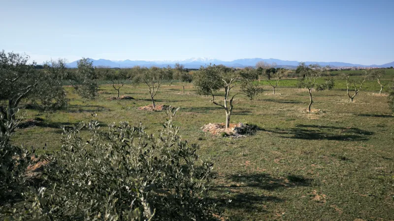 Emplacement Avec Électricité  6A