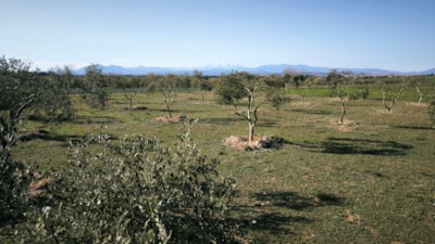 Plot without electricity in the heart of nature with magnificent panoramic views — 6