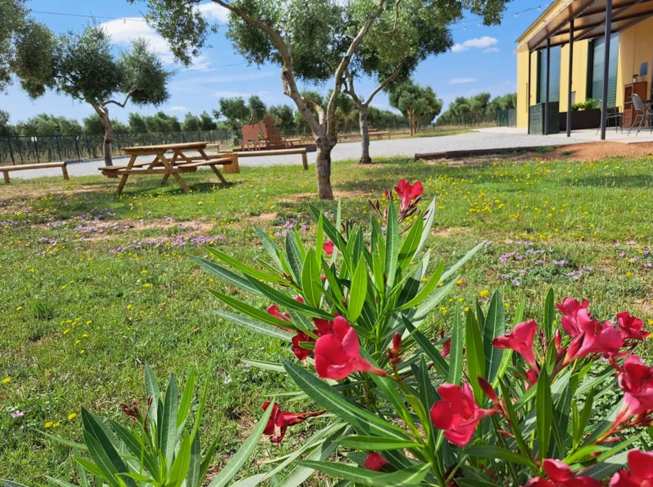 Caravaning Societat Agrícola Siurana