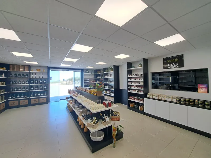 Emplacement Avec Électricité  6A