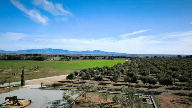 Emplacement Avec Électricité  6A