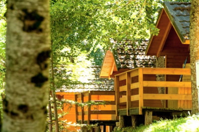 Bungalow Confort — 7