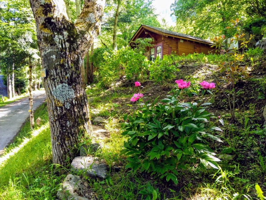 Camping Bedura Park  — Photo 4