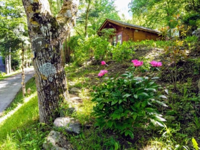 Camping Bedura Park 