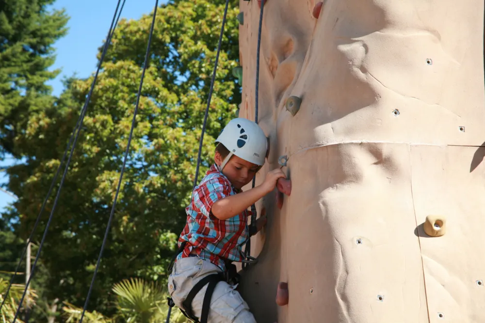 Castel Camping Les Ormes, Domaine & Resort