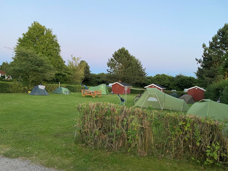 Pitch tent