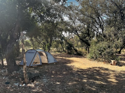 Pitch + 1 car + tent , caravan or motor home — 1
