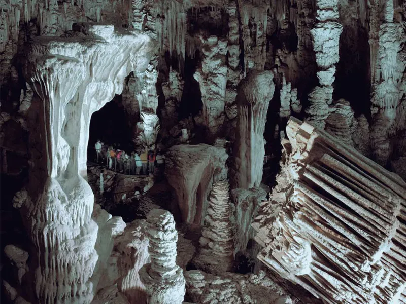 Emplacement + 1 Voiture + Tente, Caravane Ou Camping-Car