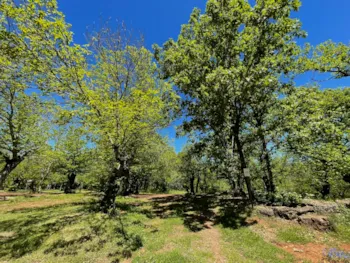 Stellplatz - Campingzonen - Camping El Madroñal