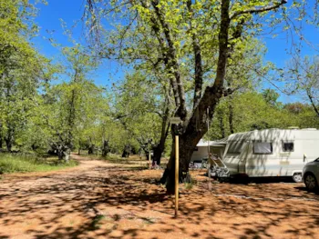 Stellplatz - Stellplatz Ohne Strom - Camping El Madroñal