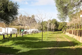 Stellplatz - Mittelgrosser Stellplatz Auf Terrasse Sonne Für Zelt Oder Campervan. - TAIGA Tarifa Valdevaqueros
