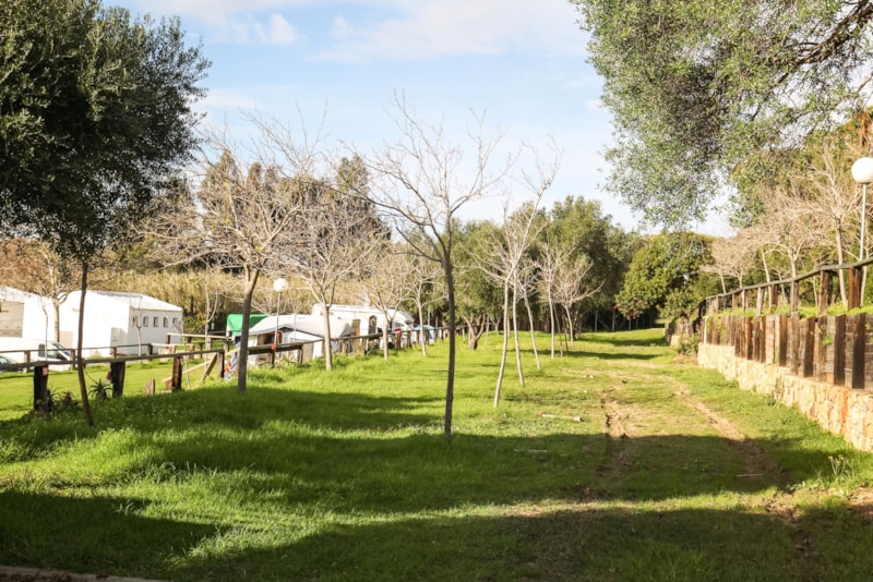 MITTELGROSSER STELLPLATZ AUF TERRASSE SONNE für Zelt oder Campervan.