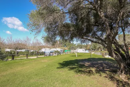 Parcela Mediana Terraza Sombra Para Tienda O Camper Van.