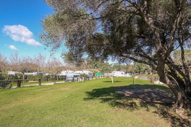 MITTELGROSSER STELLPLATZ AUF TERRASSE SCHATTEN für Zelt oder Campervan.