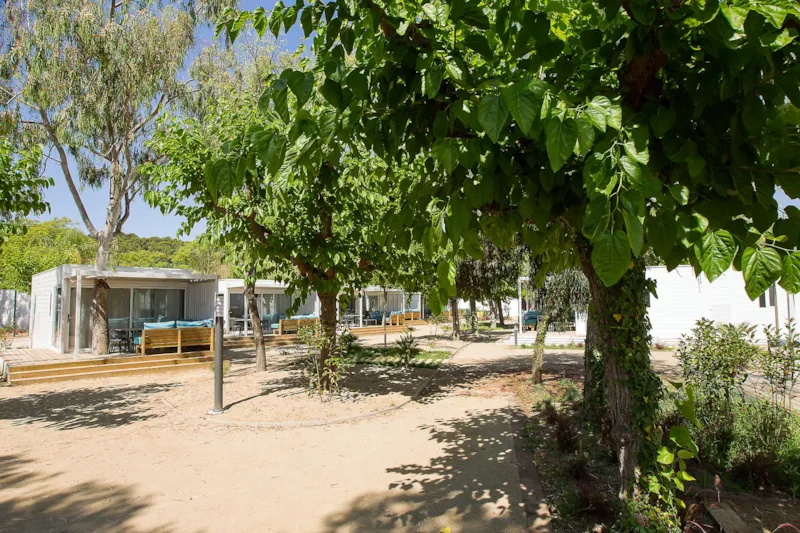 Bungalow Neri Pet Friendly