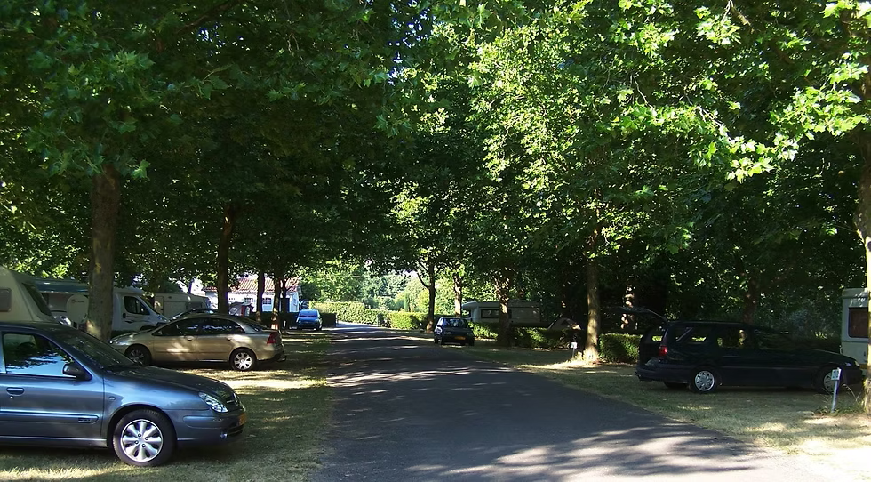 Camping Lac De Pouzauges — Photo 5