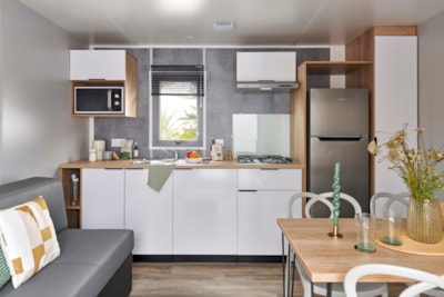 Mobile-home Prestige Duo - 2 bedrooms - 2 bathrooms - 2 WC - Air co - TV + Dishwasher — 3