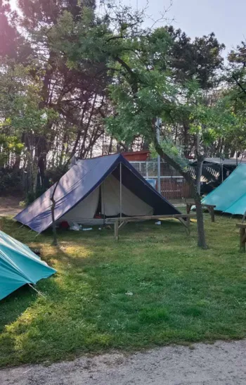 Stellplatz - Stellplatz Zelt + Strom 4A - Camping Reno