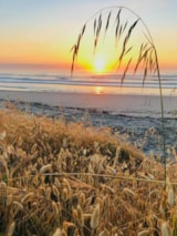 Foto #21 van Camping Reno