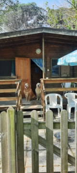 Foto #28 van Camping Reno