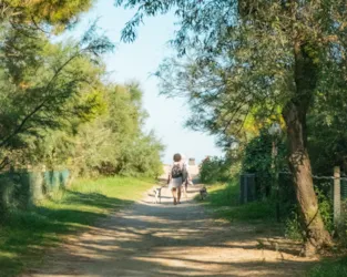 Camping Reno - image n°2 - Camping Direct