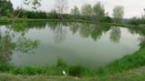 Foto #5 van Camping La Papelutte
