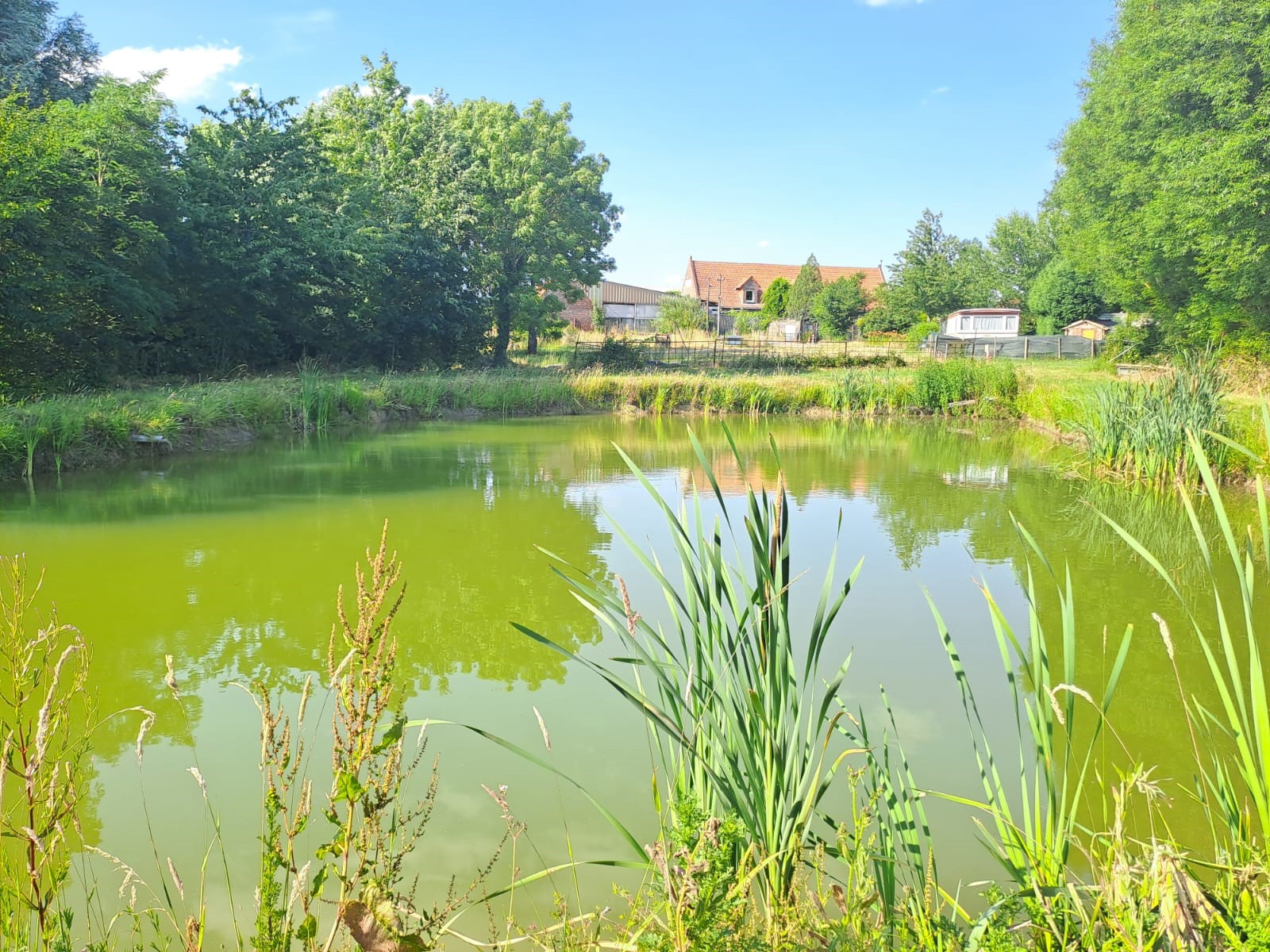 Camping La Papelutte