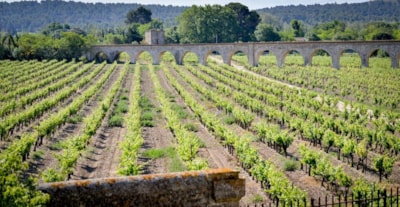 Résidence Olydéa Château de Jouarres
