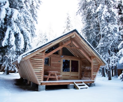 Chalet Montana Vista