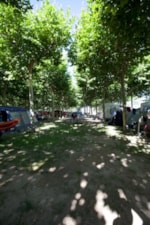 Camping Senia Riu Camping Senia Riu