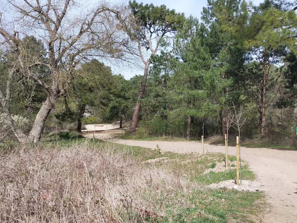  Camping Le Côte d'Opale 