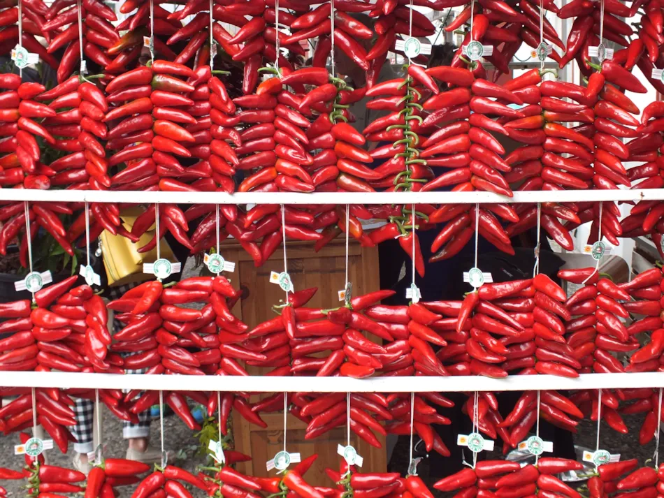 Camping Biper Gorri By TLC Vacances