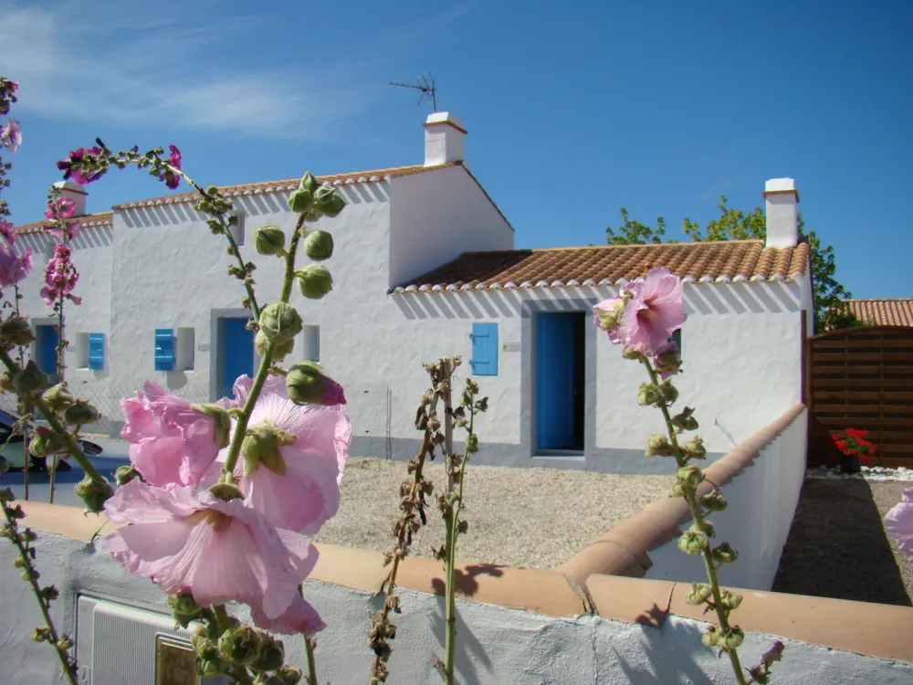 Location - Villa 3 Chambres - Villas Noirmoutier By TLC Vacances