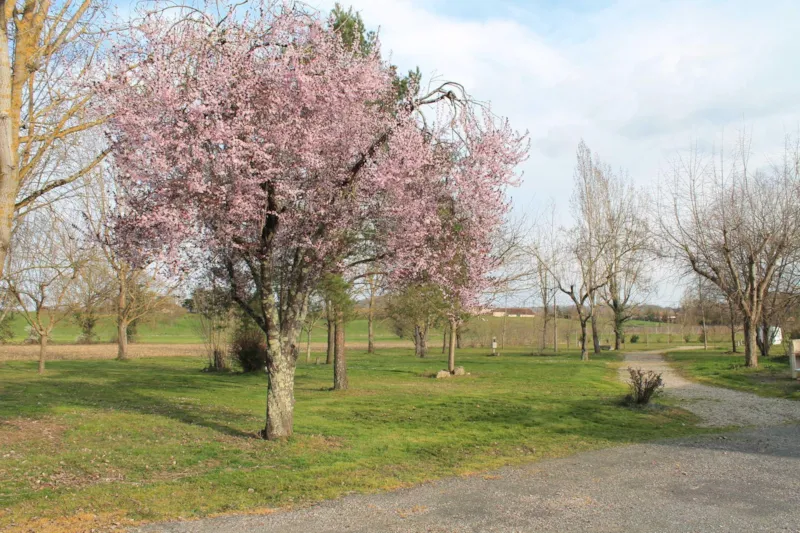 Forfait Nature (Tente)