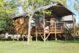 Cabane Lodge (Insolite 2017) Cabane Lodge (Insolite 2017)