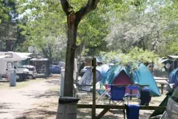 Stellplatz - Zelt Stellplatz - Camping Pineta