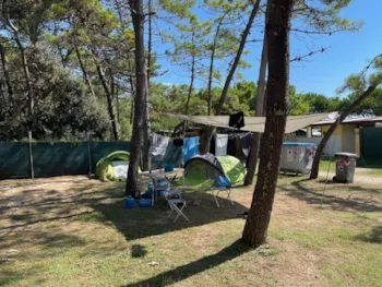 Stellplatz - Stellplatz Pineta - Camping Pineta