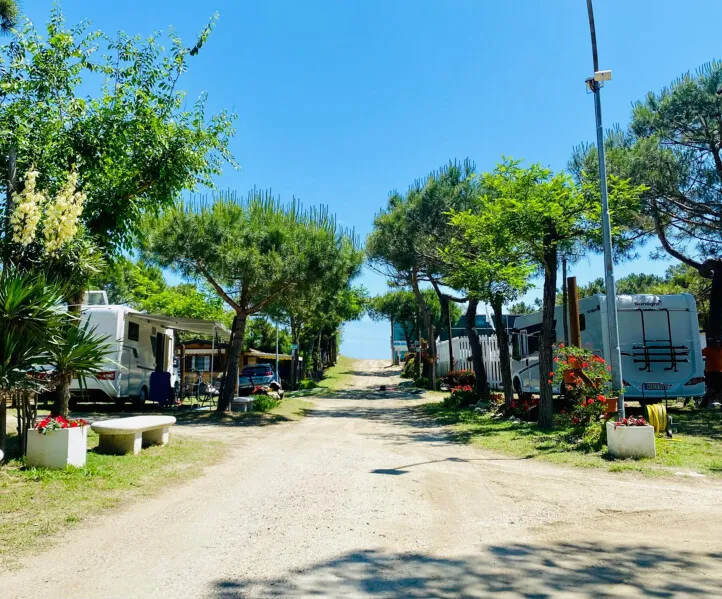 Camping Pineta