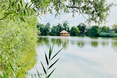 Location - Cabane Ruche - image n°4 - Camping Le Domaine des Feuilles