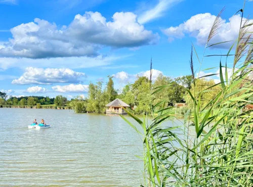 Location - Cabane Ruche - image n°5 - Camping Le Domaine des Feuilles