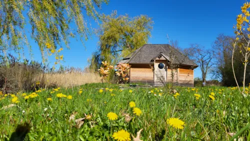 Location - Cabane Boréalis - image n°5 - Camping Le Domaine des Feuilles