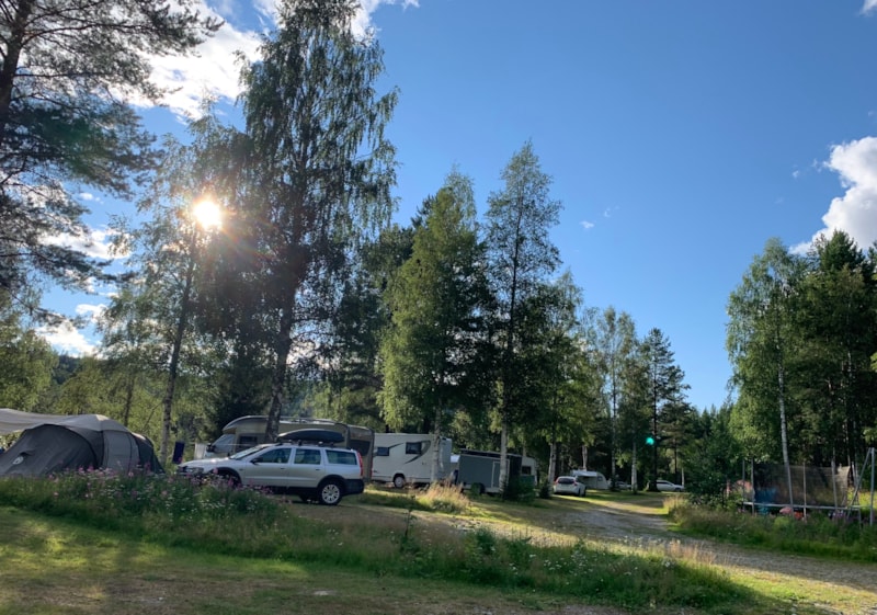 Emplacement de camping Tente / caravane / camping-car -