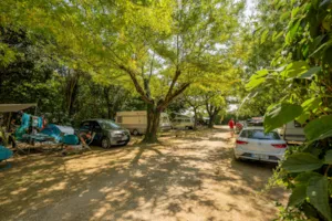 Emplacement - Pitch + 1 car + tent , caravan or motor home - Camping Le Castelas