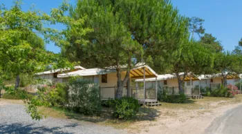 Mietunterkunft - Zelt Farou - Le Saint Martin